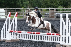 Class 5 - Fences not above 2'6